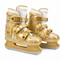 Коньки для проката Fitice Rentax Gold